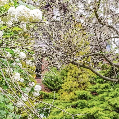 Kaplityny Vii Barczewo