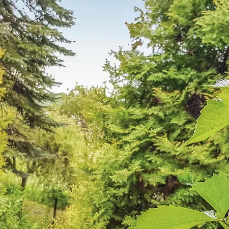 Kaplityny Vii Barczewo