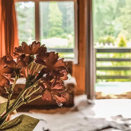 Kaplityny Vii Prázdninový dům Barczewo