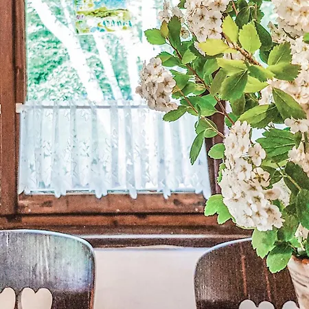 Prázdninový dům Kaplityny Vii