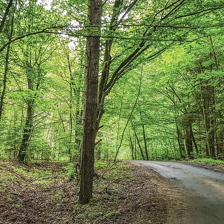 Kaplityny Vii Prázdninový dům *