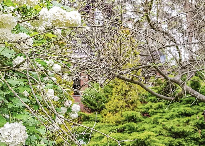 Kaplityny Vii Barczewo