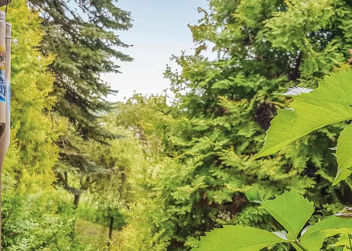 Kaplityny Vii Barczewo